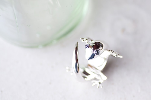 Gecko Odd-eye ring #10.5 SV925 <Iolite&Aquamarine> / カベチョロ オッドアイ リング ＜アイオライト&アクアマリン＞