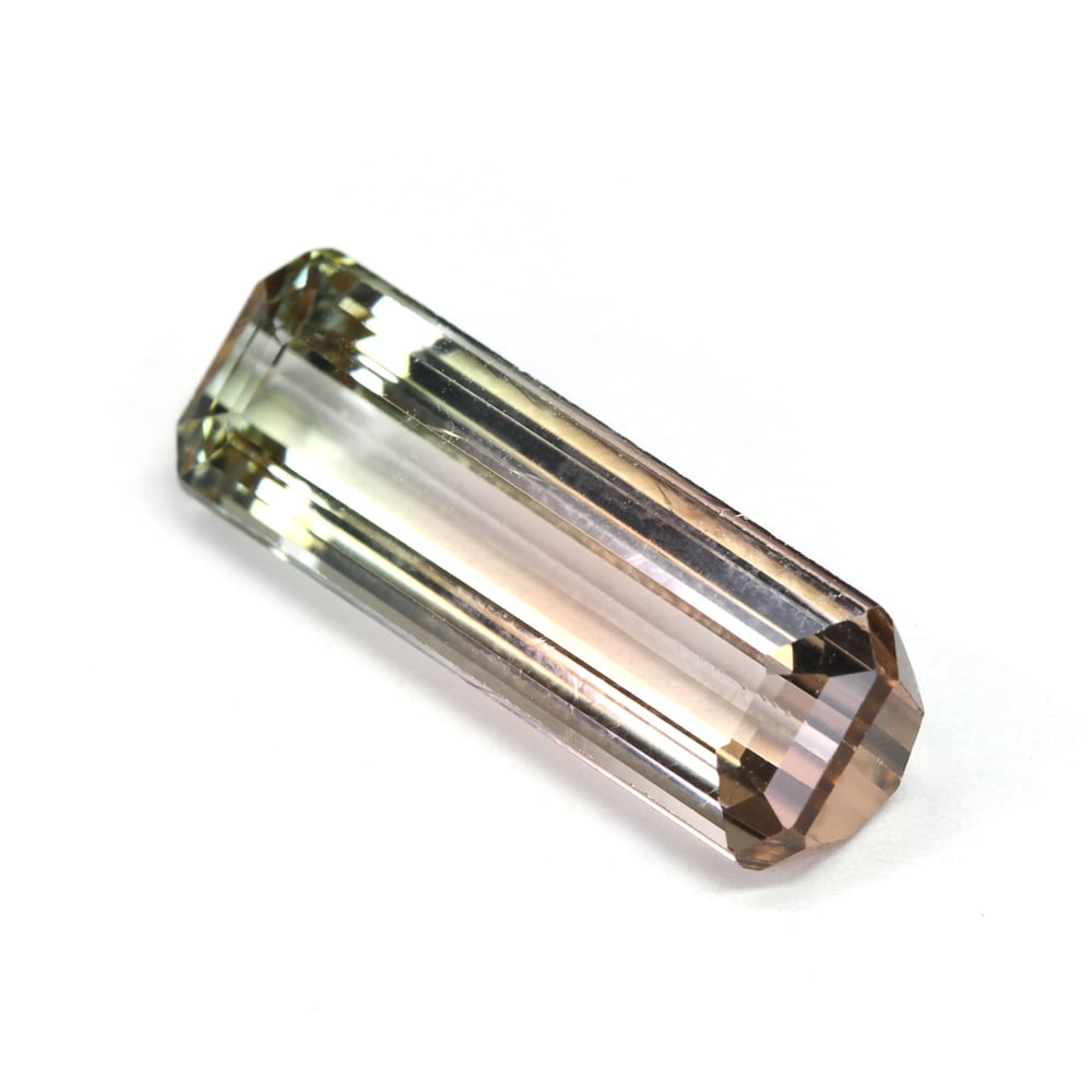 バイカラートルマリン 3.706ct #JWS3636 | EBiS GEM