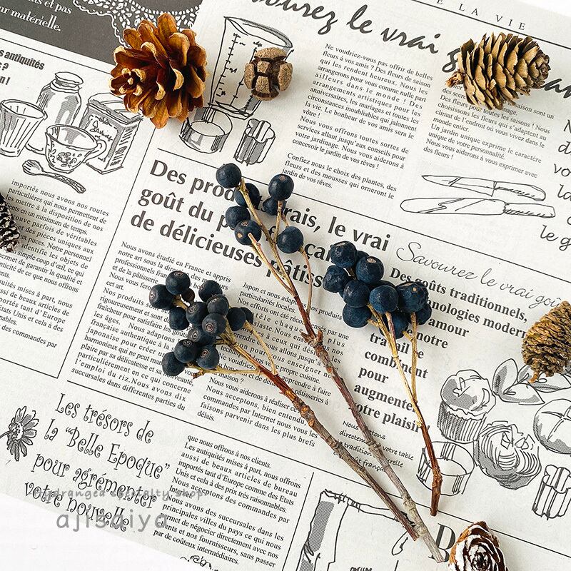 シャリンバイ ナチュラル ドライフラワー 自然素材こわけ専門店 あじさいや