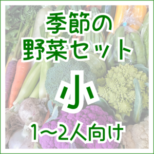 季節の野菜セット　小サイズ