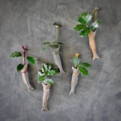 渡邊琢磨 ひいらぎいわし【柊鰯】備前焼