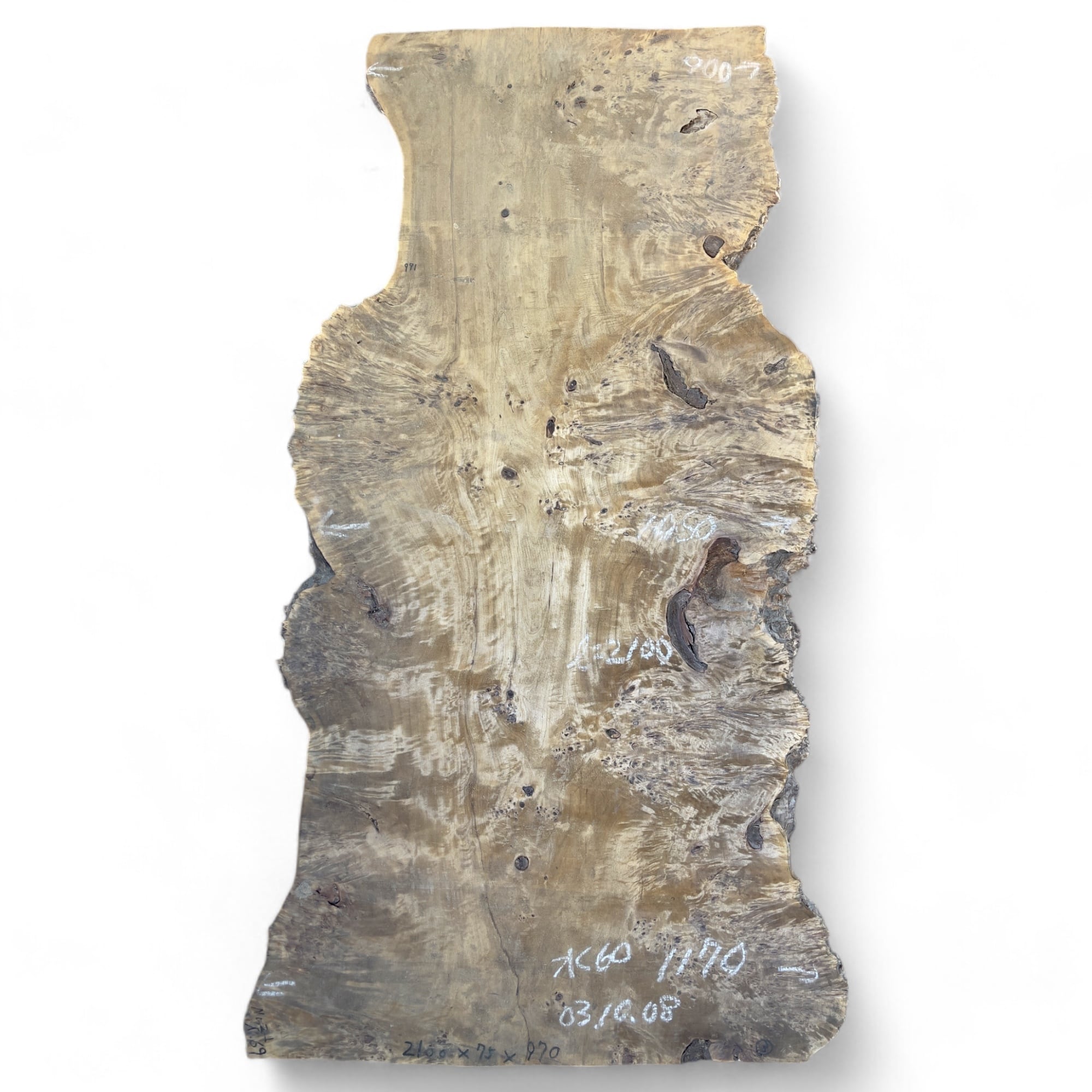 ポプラ テーブル 2.100×900-1050-1170×75mm