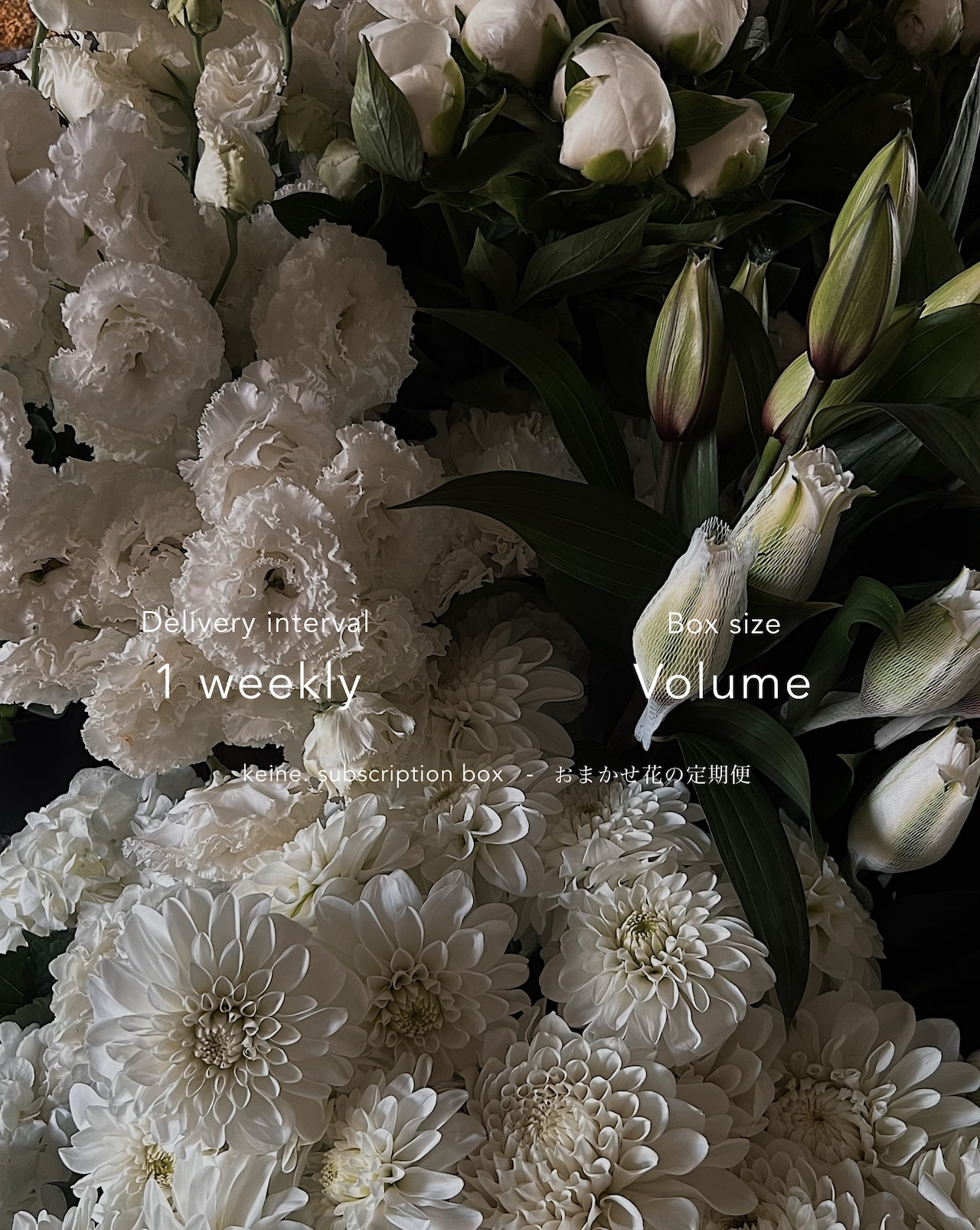 1週間ごとに届く定期便 - Volume type.