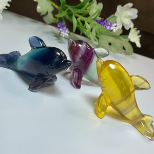 大家族☆海のアニマル♪♪フローライトイルカ☆