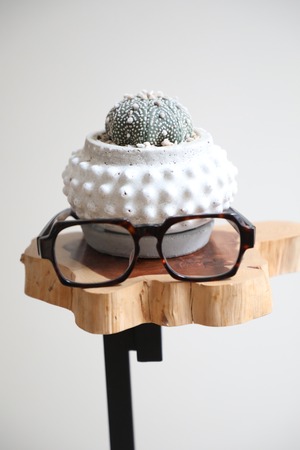 【S】アストロフィツム ルリカブト/Astrophytum　※陶器鉢付き