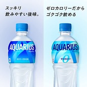 コカ・コーラ アクエリアス ゼロ 500mlPET×24本
