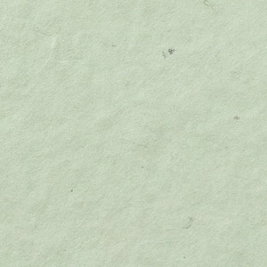 阿波　粕板紙　薄緑