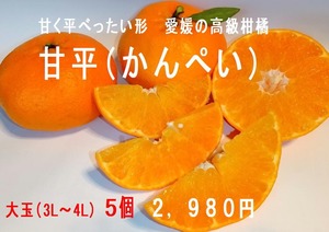 甘平（かんぺい）　愛媛の高級柑橘　大玉（3L～4L）5個　（販売期間　１月２０日～２月末日）