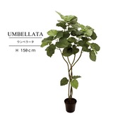 ウンベラータ 150㎝［人工観葉植物・フェイクグリーンT］