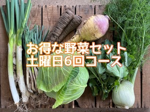 3/30(土)より隔週土曜お届け!野菜セット(6回コース)