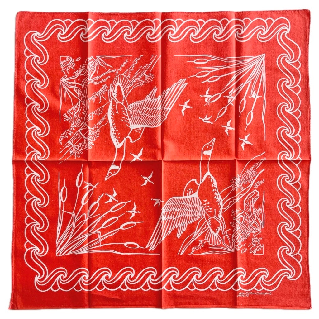 【レア!】70s RN14193 Birdヴィンテージバンダナ