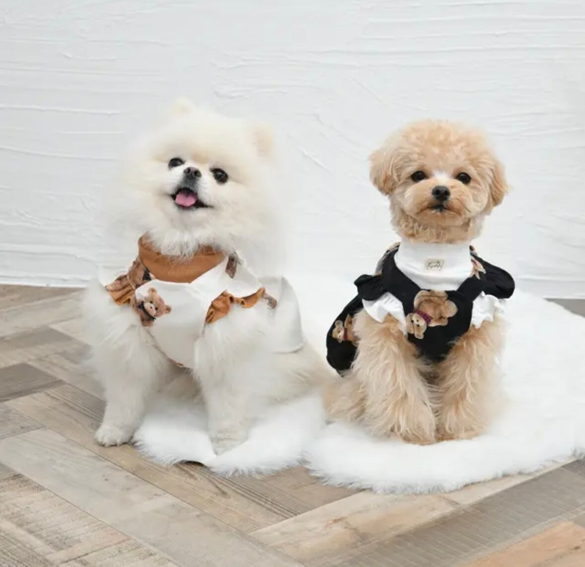ミモザワンピース】犬服 わんこ服 ワンピース スカート | Pay ID