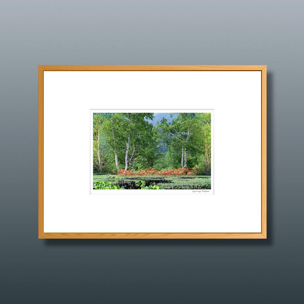 森の扉 #17 ■額縁サイズ(八切判)303㎜×242㎜