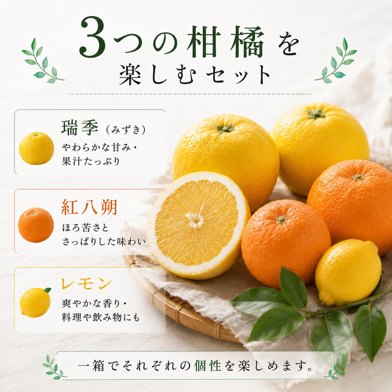 【クール便・送料込み】しまなみ冷蔵柑橘セット｜瑞季・紅八朔・レモン
