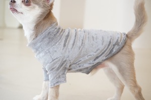 ote.ベロアメッシュtee silver gray