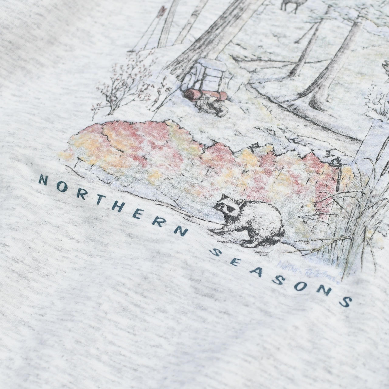 Northern seasons print sweat