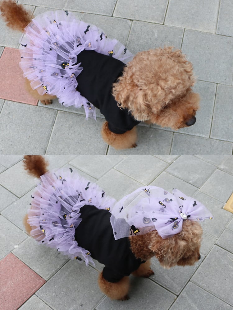 国内初の直営店 大型犬＆小型犬服 ハロウィンワンピース【専用】 犬 