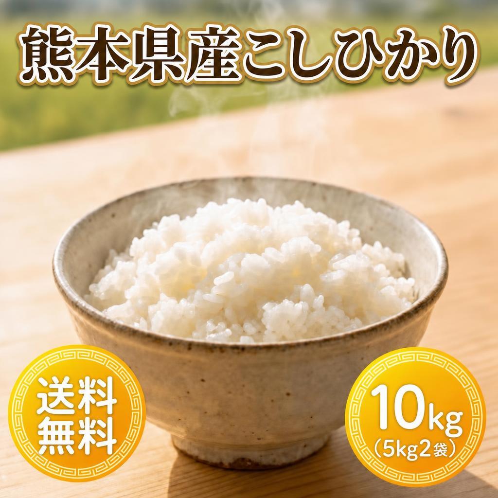 お米 米 10kg 白米 送料無料 熊本県産 こしひかり 新米 令和8年産