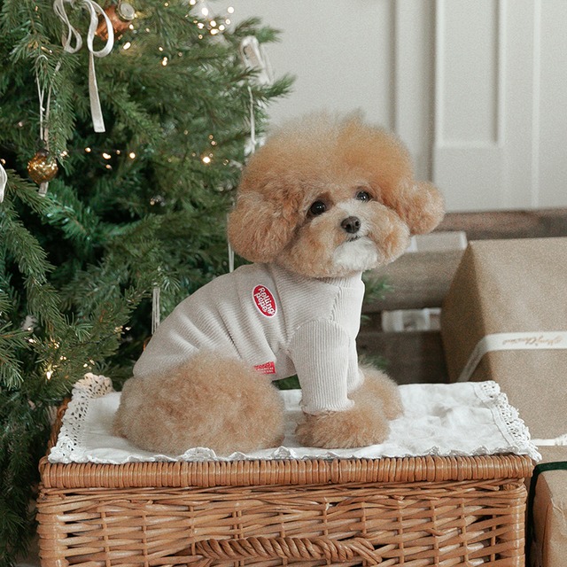 〈 即納アイテム 〉Rolling PEPE Tシャツ / ニュートロTシャツ  (ベージュ) Mサイズ