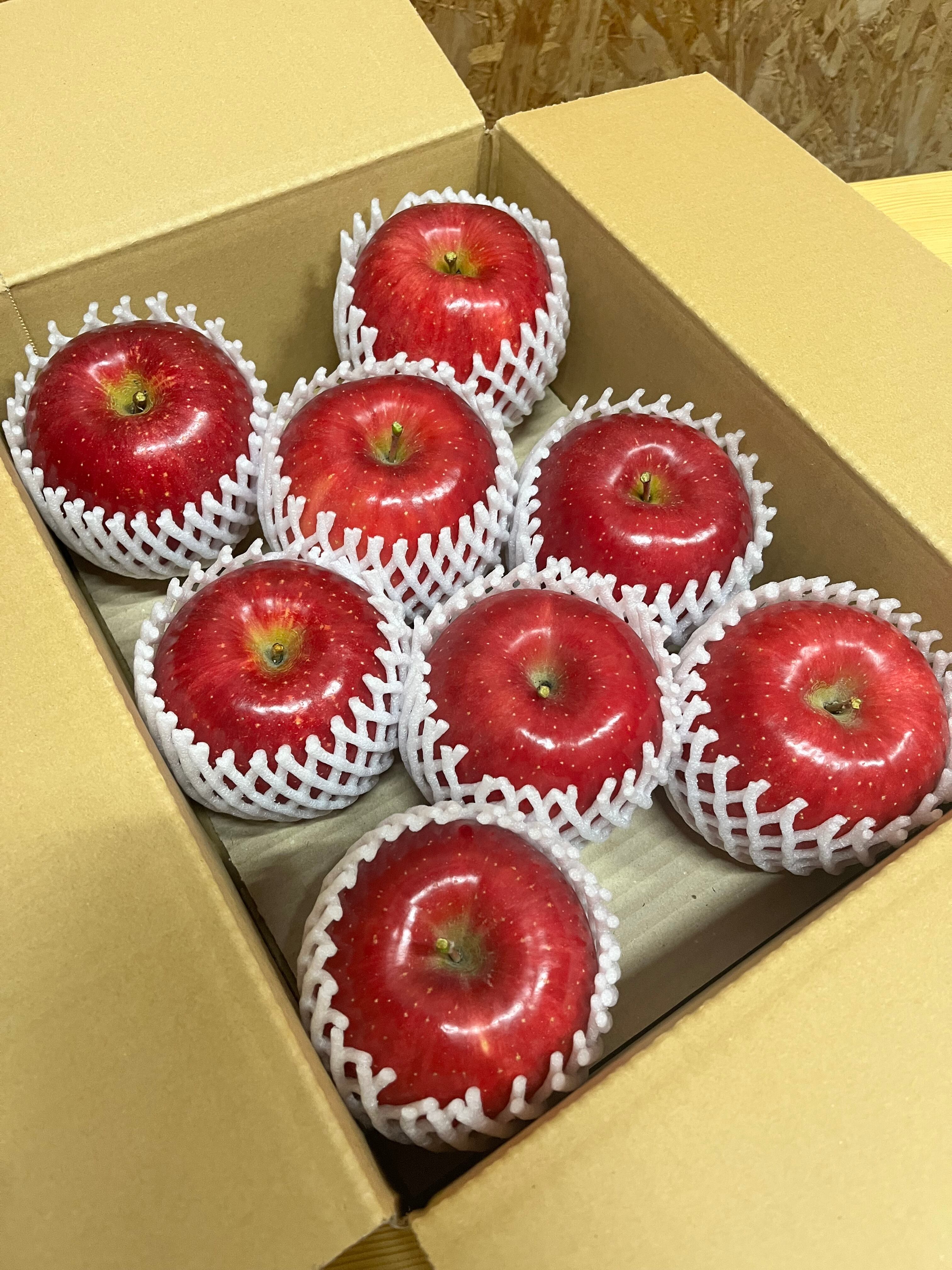 葉取らず早生ふじ贈答用　3kg