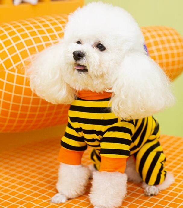 ドッグ 犬 小型犬 室内着 シャツ ズボン つなぎ スマート 袖付き ベーシック カラフル 一体型 かわいい シンプル カジュアル おしゃれ レトロ ラフ ボーイッシュ スポーティー 個性的 クール かっちり ラブリー キュート 都会的 クラシカル ベーシック アメリカン プレッピー シンプル シック ボーダー ストライプ 秋 冬 ロングシーズン 男の子 女の子 成犬 お出かけ お泊まり 旅行 公園 休日 ホテル ガーデン ツーリング ガーデン 散歩 ウォーキング 室内 おうち 楽ちん 普段使い 定
