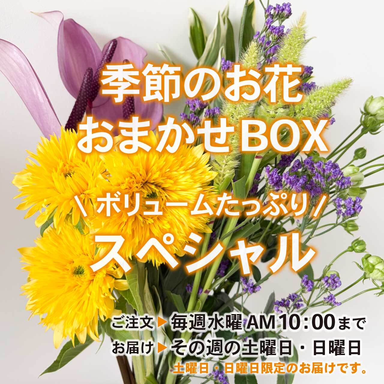【定期便】季節のお花 おまかせBOX《スペシャル》|毎月☆変更|切り花・生花〈フラワーロス削減〉