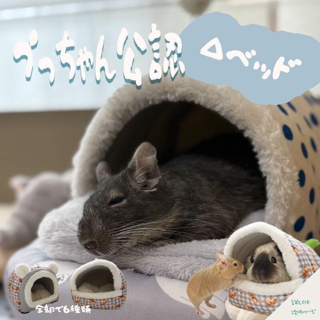 ぐっすり夢の中… もこもこおやすみハウス