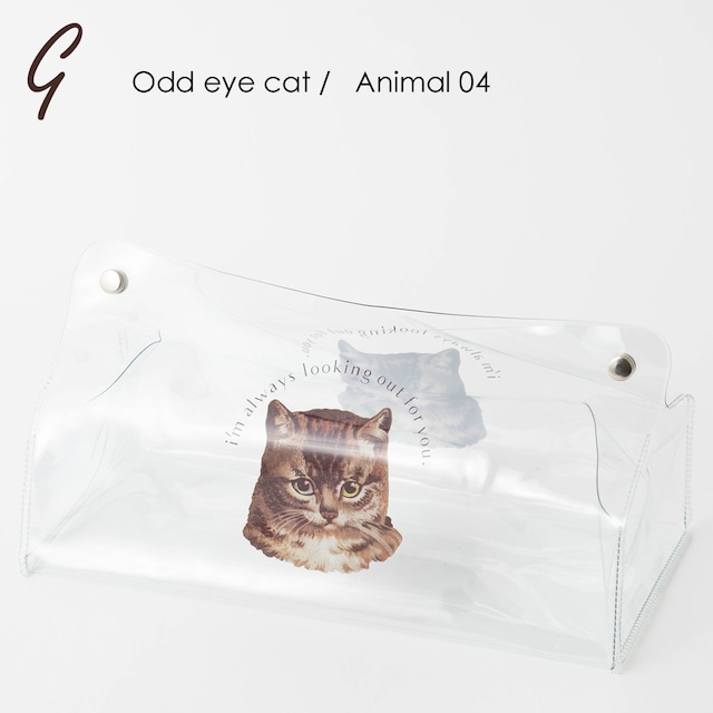 クリアティッシュケース ビニール製 G. Odd eye cat