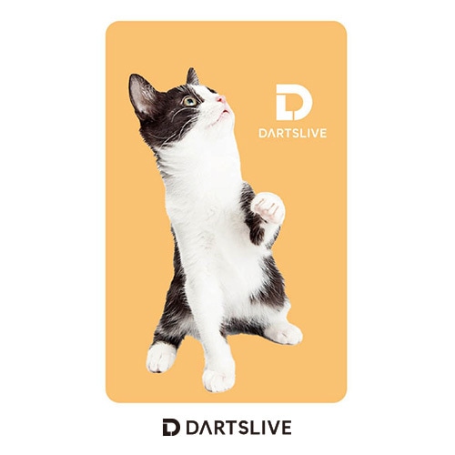 Darts Live Card [150]