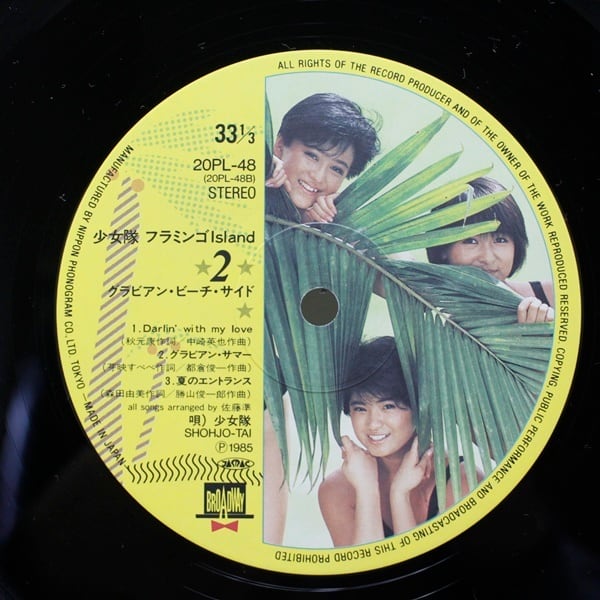 少女隊 / Flamingo Island  [20PL-48] - 画像4