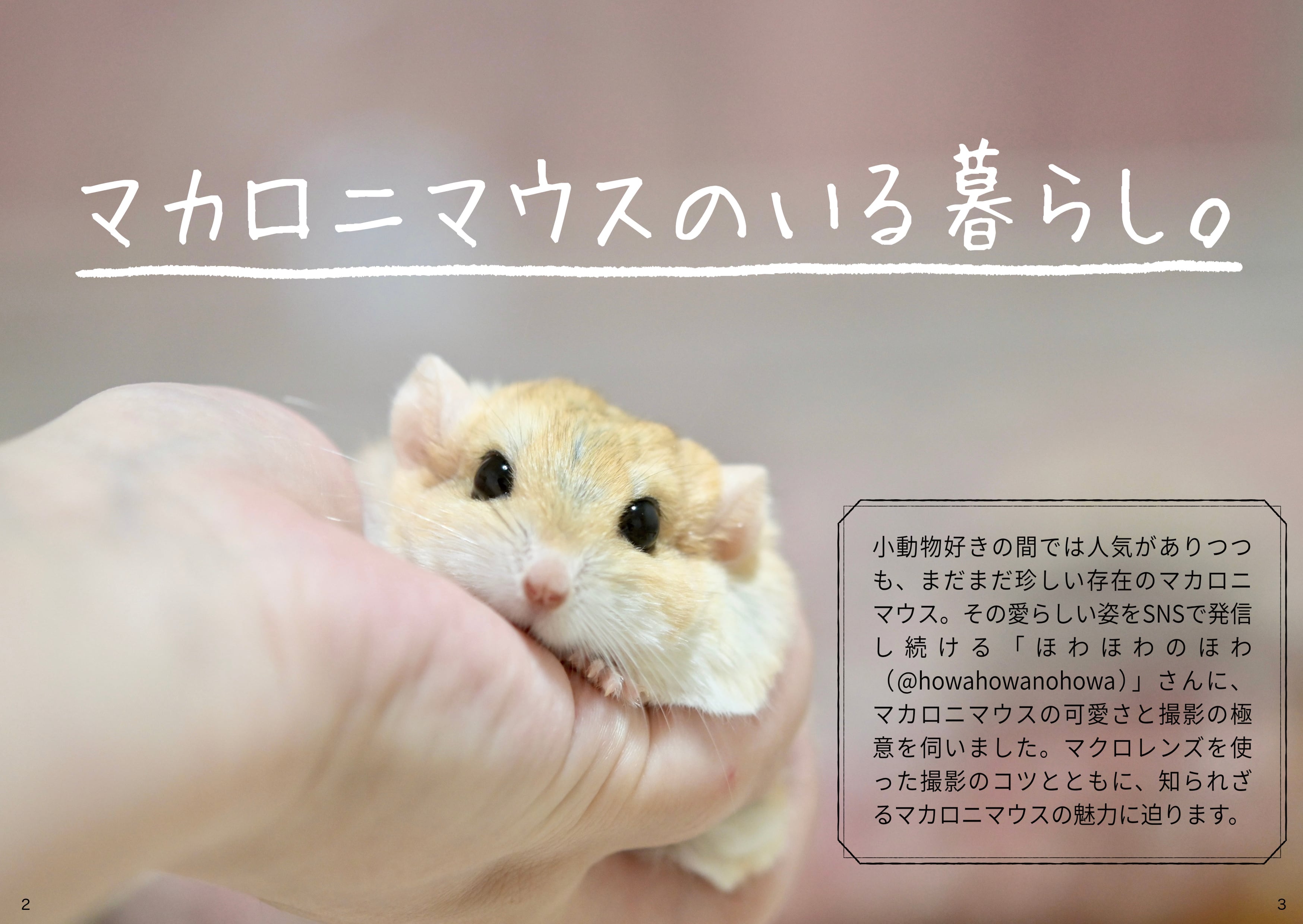 Minimaマガジン Vol.3〈推したいあの子特集。〉 | 小動物専門メディア