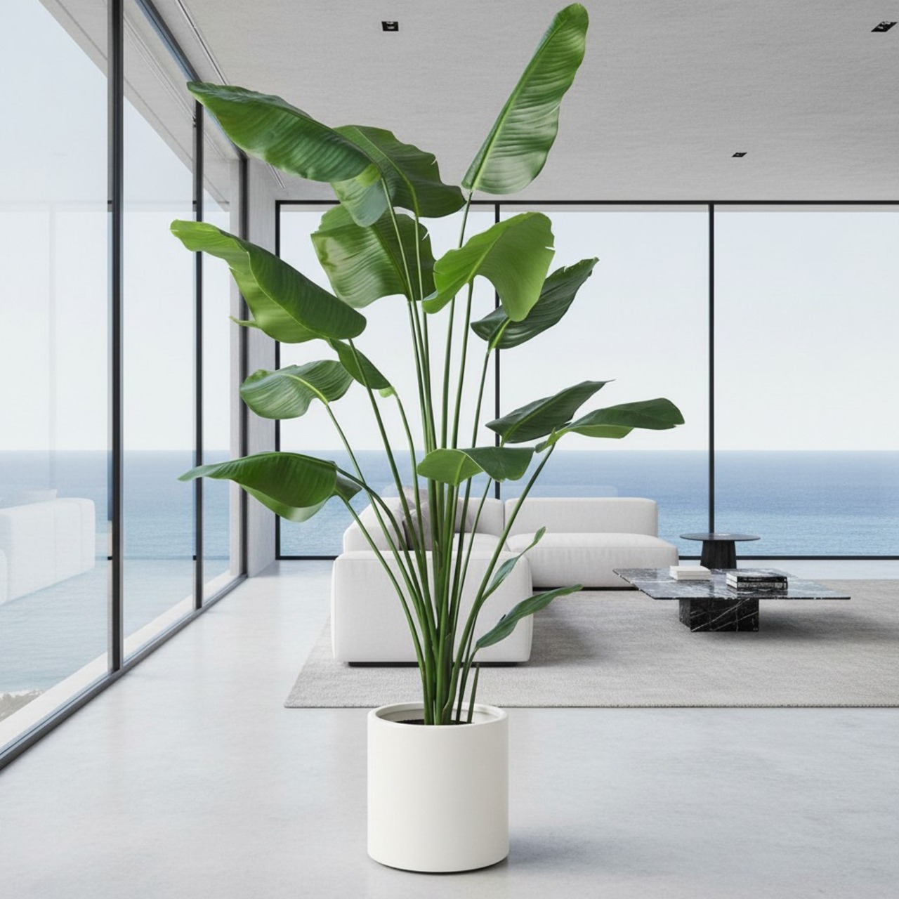 ストレリチア210㎝［人工観葉植物・フェイクグリーンT］