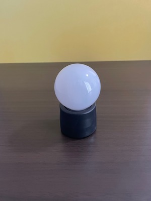 電球 ①電球(電球色)