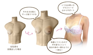 【完全注文フルオーダー・小サイズ】装着式人工乳房・色も形も自由自在
