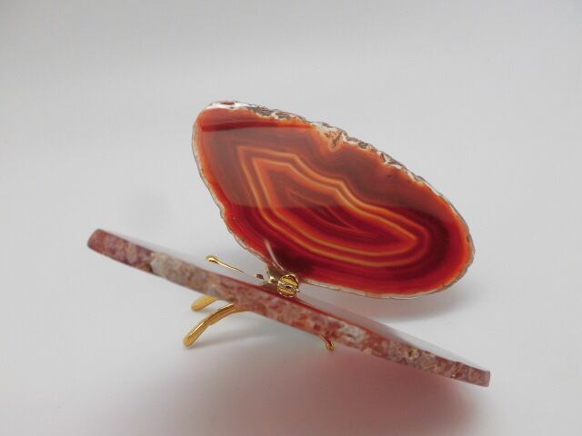 【瑪瑙】　ゴージャス蝶々　no.5