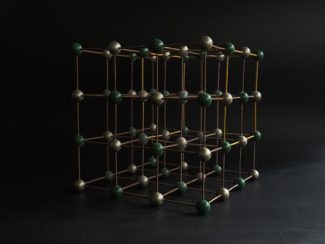 昆虫が散りばめられた骨相学模型