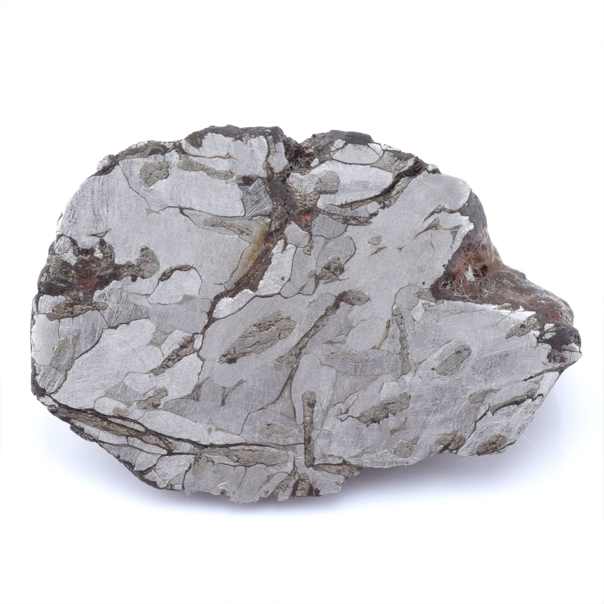 鉄隕石 オクタヘドライト | 隕石販売.jp