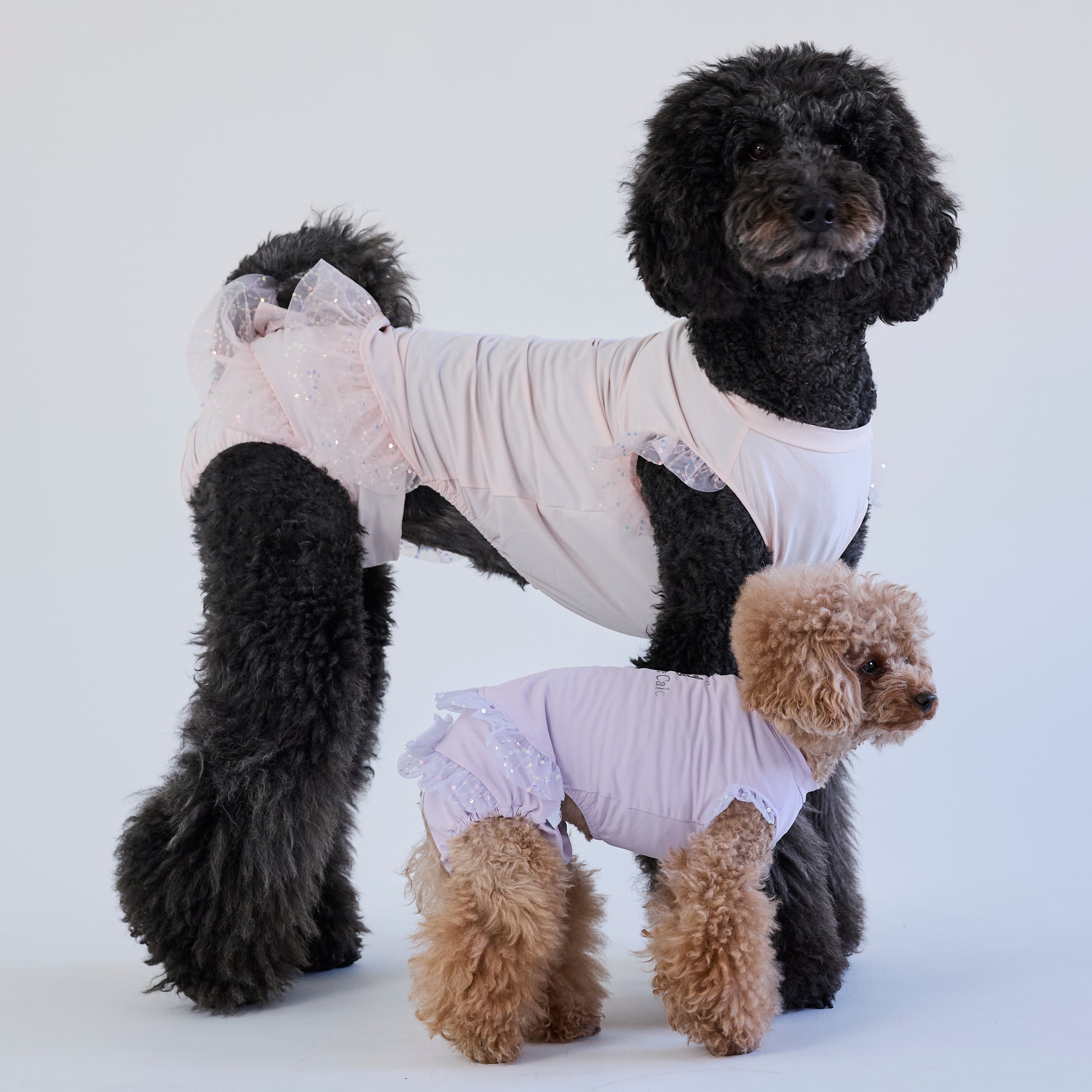 265607大型犬サイズ】リボンお出かけパンツ | 犬服ブランド 2e
