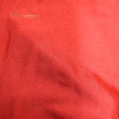 ベリーダンス オリエンタル 衣装 スカート レッド系 フリル 赤 橙 スリット ボリューム 練習 レッスン 華やか 鮮やか 上品 かわいい ダンス衣装 ステージ イベント 伸縮 ストレッチ ピンク系 オレンジ系