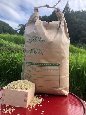 【玄米10kg】愛媛　自家農園減農薬栽培　にじのきらめき　令和8年産新米！