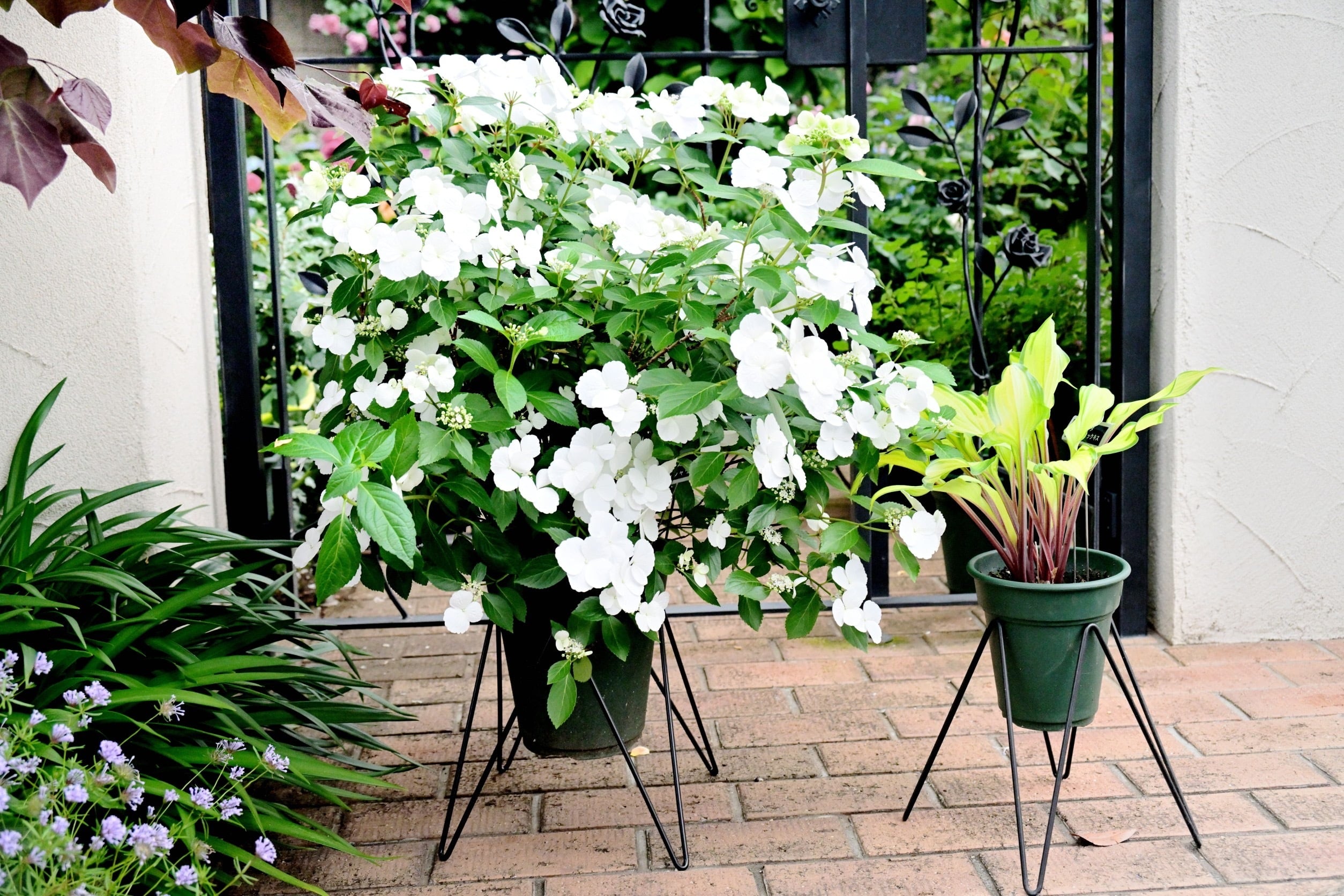 ◇MSS-10 マジックスクエアスタンド | Pay ID