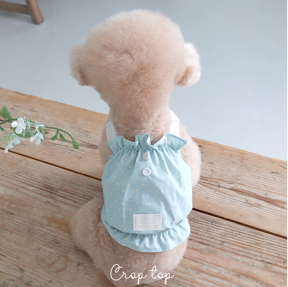 予約【near by us】cookie crop top (cozy blue)