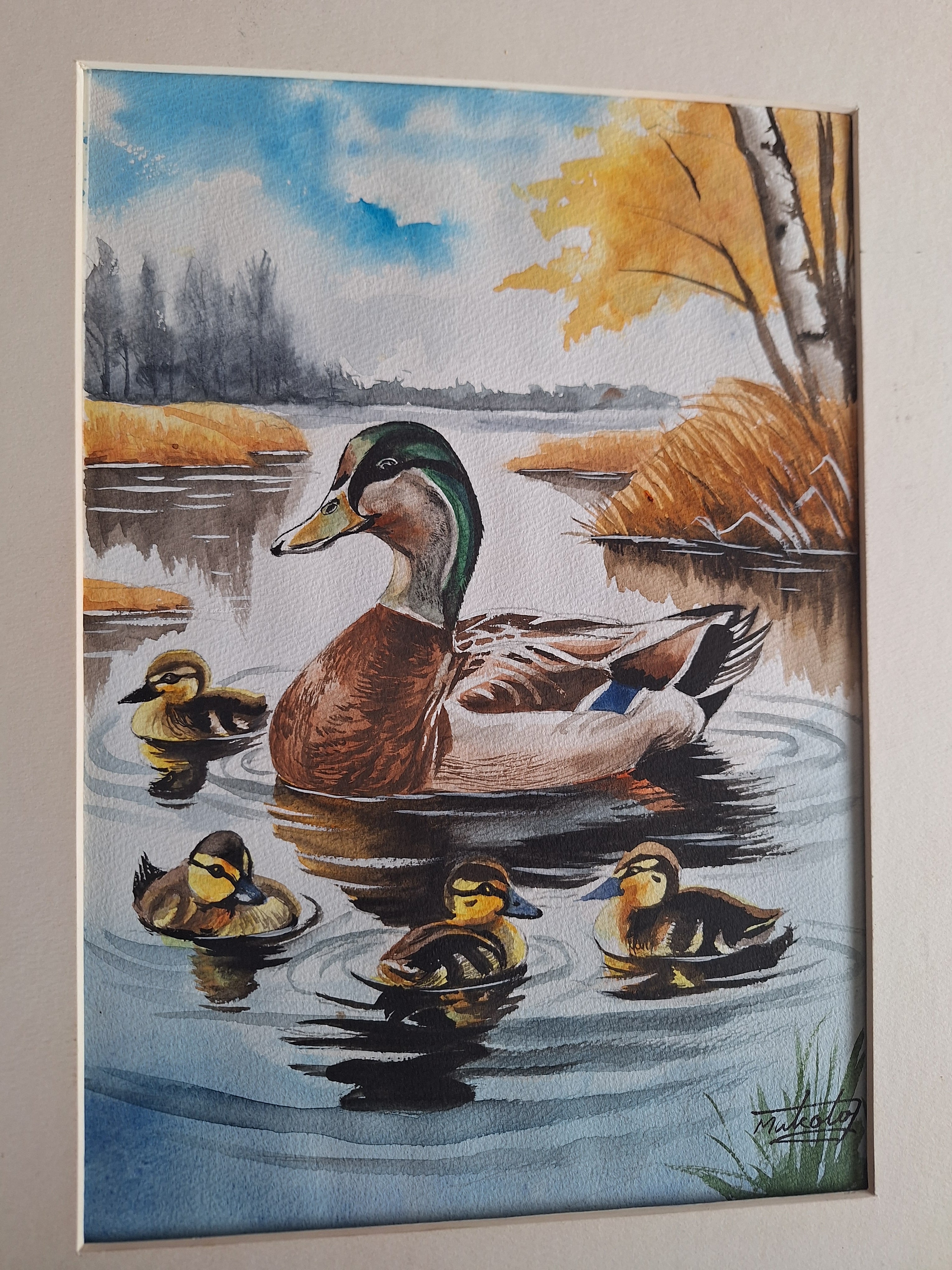 【絵画】ネイチャーアート　「カモの親子」原画 水彩画 マガモ親子 | 工房 和み
