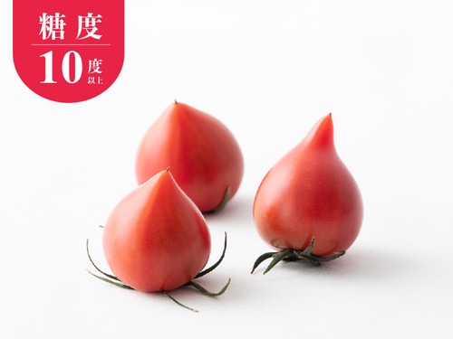 数量限定！ルネッサンストマト【雫果（しずか）プレミアム】600g・ギフトボックス・画像2
