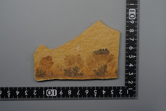 デンドライト 忍石 Dendritic limestone ⑧