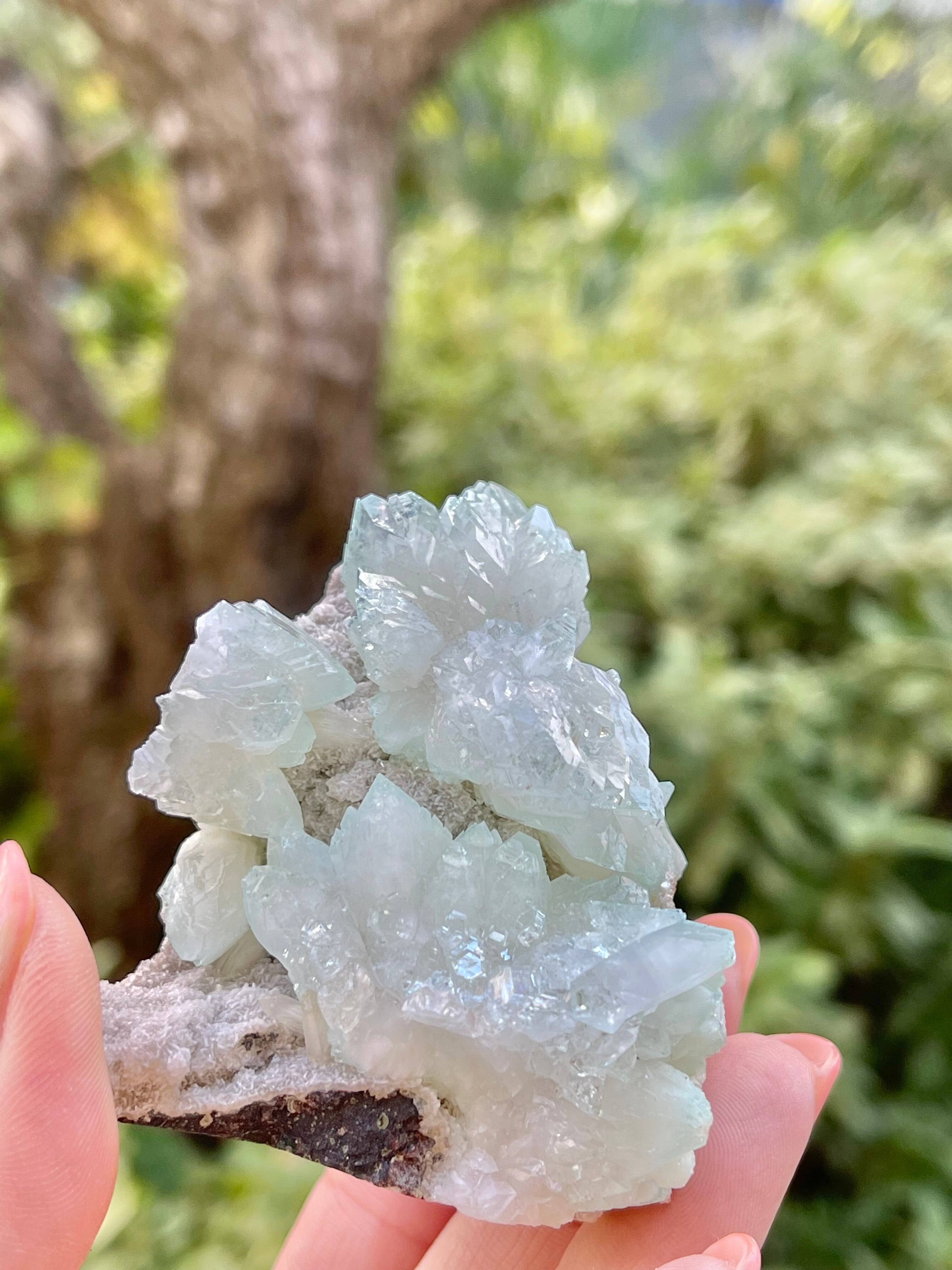 エクストラグレード　グリーンアポフィライト　No.03