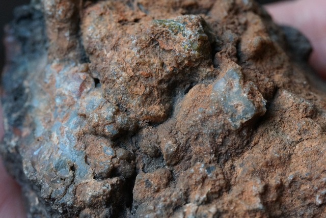 コプロライト ① Dinosaur Coprolites