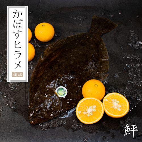 かぼすヒラメ
