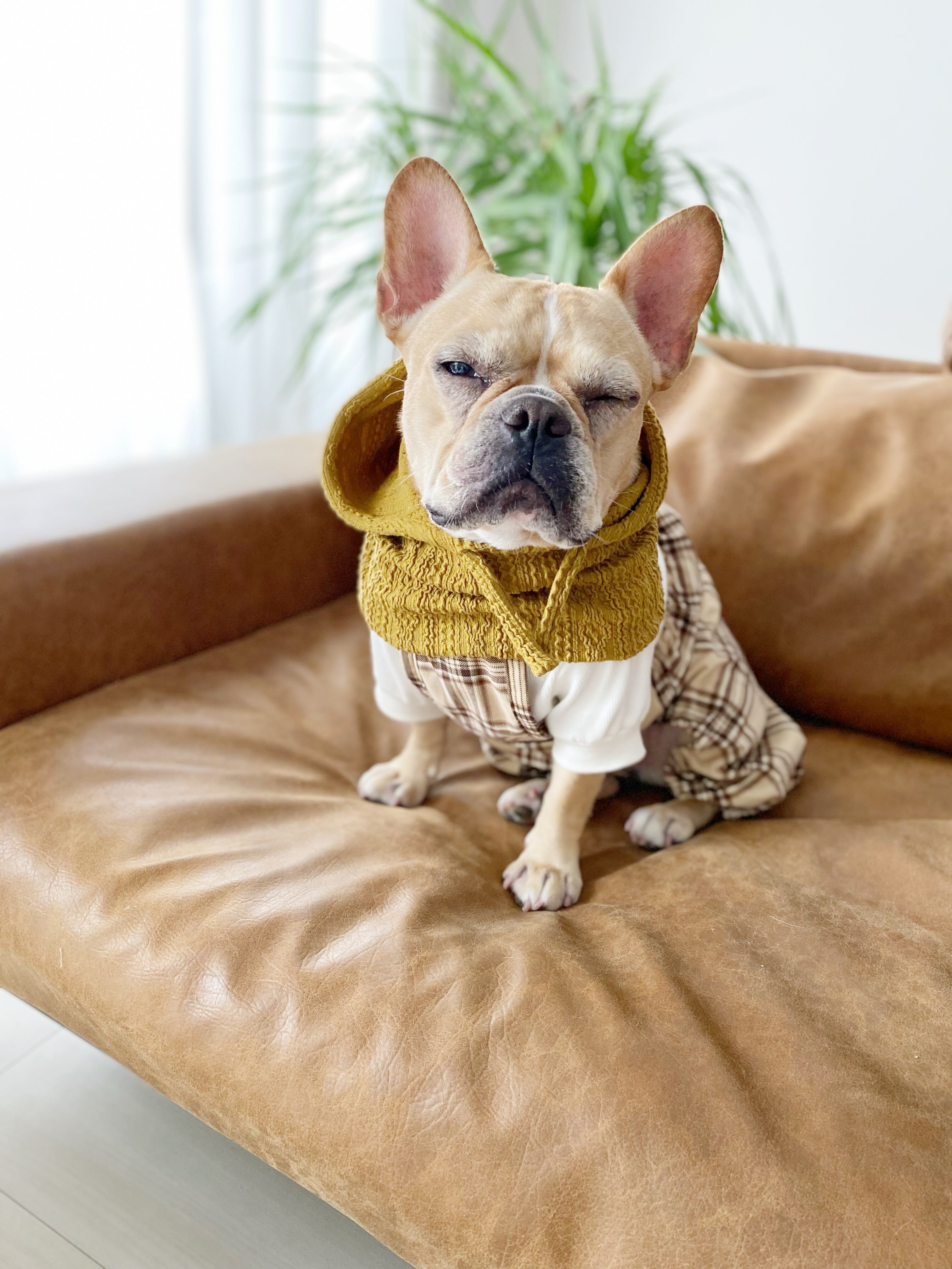 手編み風♡アランニットのバラクラバ❤️ 犬服 犬服ハンドメイド