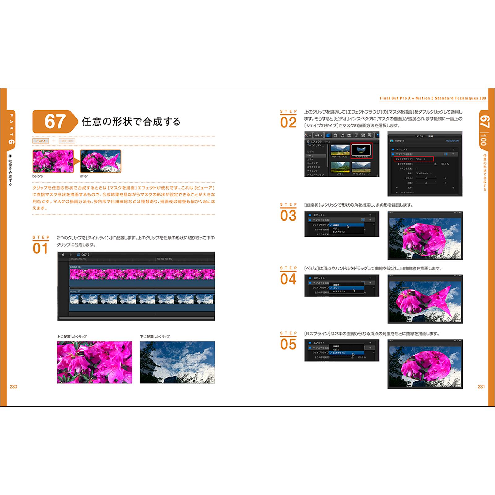 Final Cut Pro X + Motion 5 Standard Techniques［第3版］ プロが 